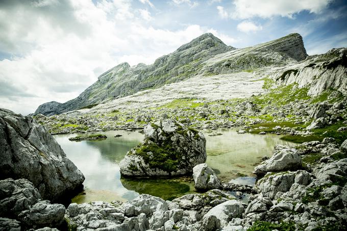 Zeleno jezero – ime izhaja iz alg, zaradi katerih je jezero obarvano zeleno – leži v Dolini triglavskih jezer. Jezero je veliko 100 metrov, široko 80 metrov in globoko 2 metra.  | Foto: Ana Kovač