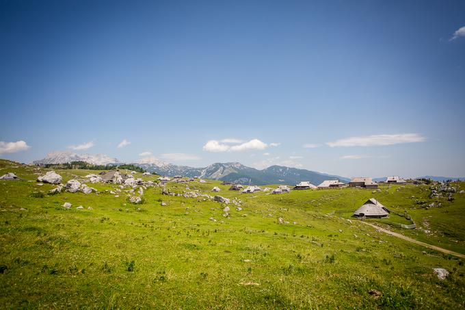 Za ohranitev zgrajene krajine Velike planine s prepoznavno pastirsko arhitekturo je zaslužen arhitekt Vlado Kopač, ki jo je obvaroval pred rušenjem in nestrokovnimi posegi. | Foto: Žiga Zupan/Sportida