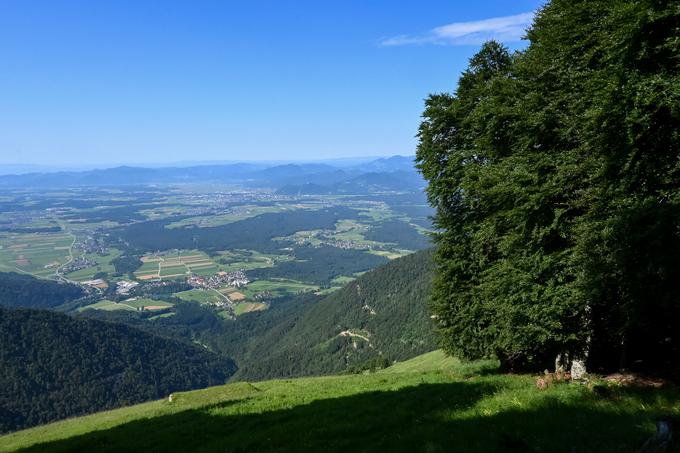 Pogled od zavetišča v Hudičevem borštu | Foto: Matej Podgoršek