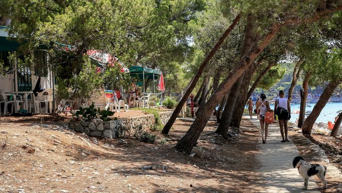 Kamp Čikat na Lošinju, najboljši med velikimi kampi v Kvarnerju | Foto: spletna stran avtokampa