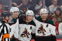 Arizona Coyotes