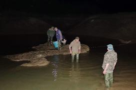 Cerkniško jezero reševanje rib