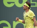 David Ferrer