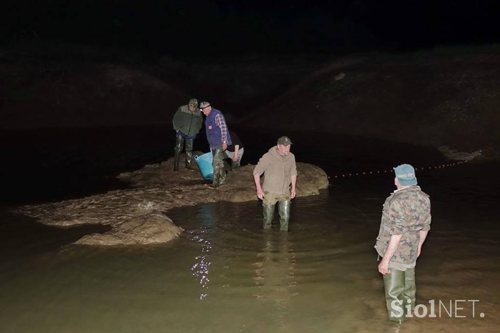 Cerkniško jezero reševanje rib