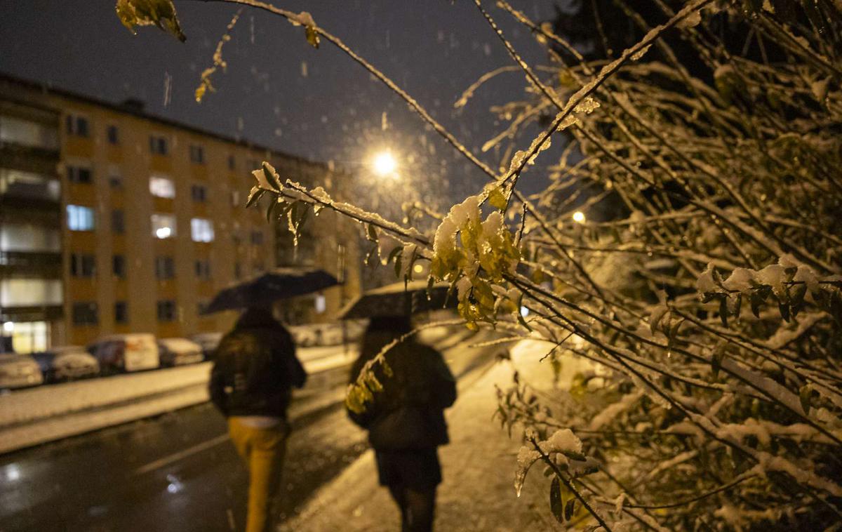 sneg | Kot so pojasnili na agenciji za okolje (Arso), nas je v soboto po pestrem vremenskem dogajanju popoldne od severa prešla hladna vremenska fronta. Meja sneženja se je hitro spuščala in se v večjem delu države spustila do nižin. Na Kredarici je po njihovih navedbah v zadnjih dveh dneh zapadlo skoraj meter in pol novega snega. | Foto STA