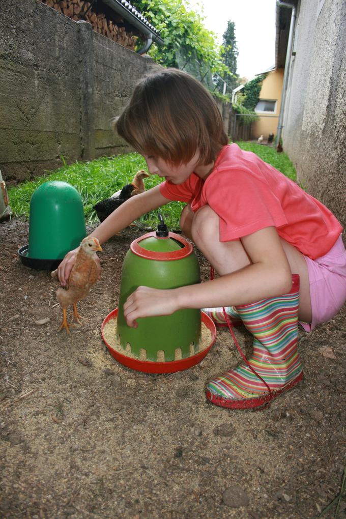 Pri otrocih se pojavljajo različne motnje, veliko jih nastane ravno pri vključevanju v družbo in okolje, že z vstopom v vrtec.  | Foto: Društvo za aktivnosti in terapijo s pomočjo živali