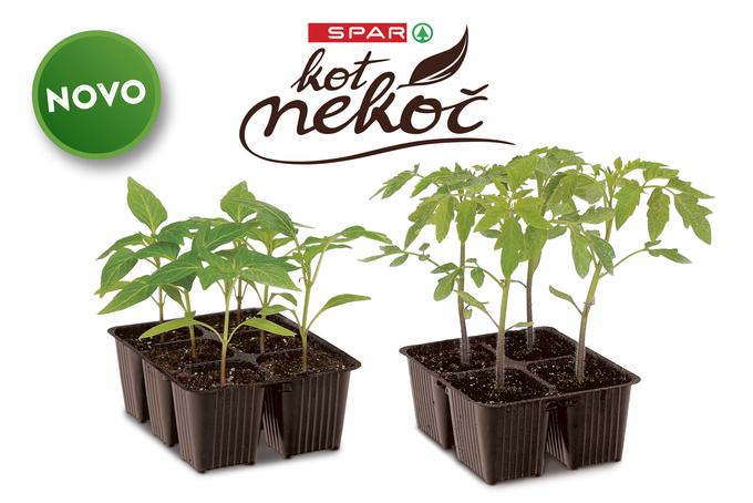 spar kot nekoč | Foto: 