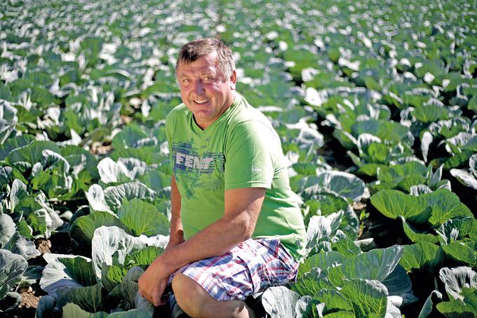 Zelje emona za SPAR Kot nekoč prideluje Jože Janež iz KZ Dobrunje. S Sparom sodeluje že vrsto let, zato se je z veseljem pridružil projektu ohranjanja avtohtonih slovenskih sort.   | Foto: 