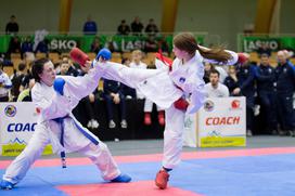 Karate Slovenija Open 2018