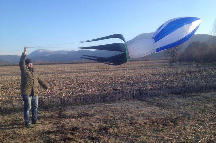 Zmaji KAP Jasa | Navdušenje nad zmaji sta Janez Vizjak in Saša Iskrić začela razvijati pred dvema letoma. | Foto KAP Jasa