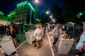 Nova Gorica Hit Park Wine Party vinski festival