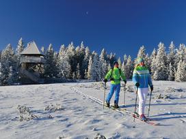 Lovrenška jezera na Pohorju_Jurij Pivka_800x600_1200