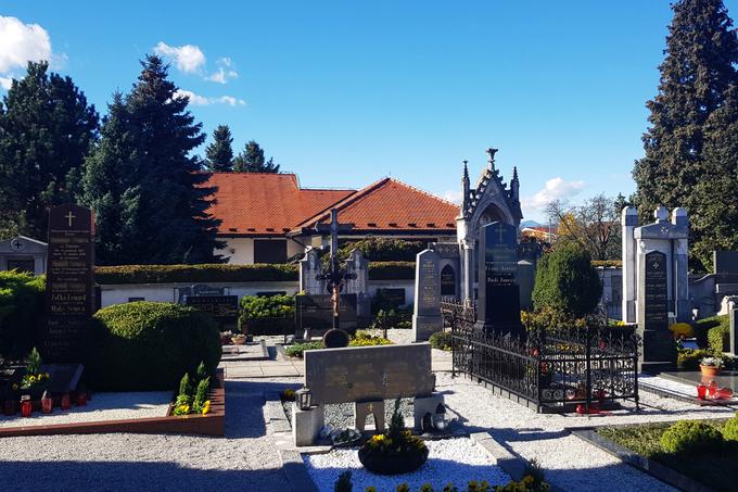 Žalsko pokopališče z vzhodne strani obdaja zid, ki ga morebitnim najbolj zagnanim tatovom ponoči ne bi bilo težko premagati. | Foto: Matic Tomšič