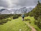 Sutjeska, BiH