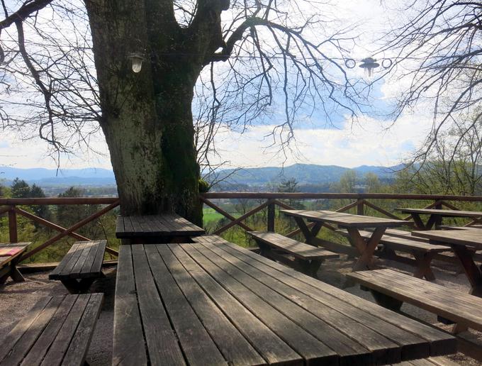 Velika večina pripisov fotografijam se ne sklicuje na zakon, marveč na moralo.  | Foto: Miha First