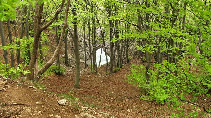 Visoko je 12 metrov, najširši del je širok sedem metrov. | Foto: Janez Medvešek