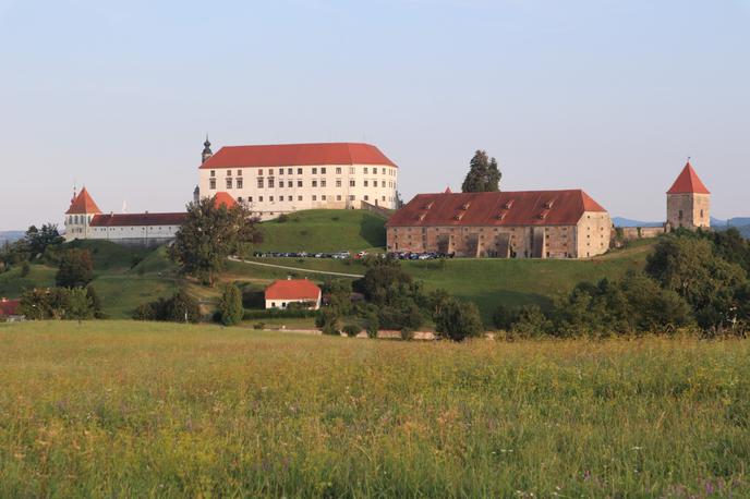 Ptuj, panorama | Na Ptuju potekajo Dnevi poezije in vina. Na današnjem pogovoru so avtorice razpravljale o ženski in moški perspektivi pisanja. | Foto Vida Toš/STA