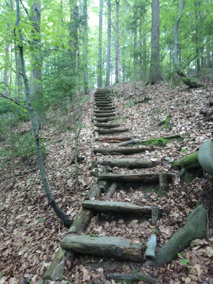 Rečiška planinska krožna pot | Foto: arhiv PD Laško