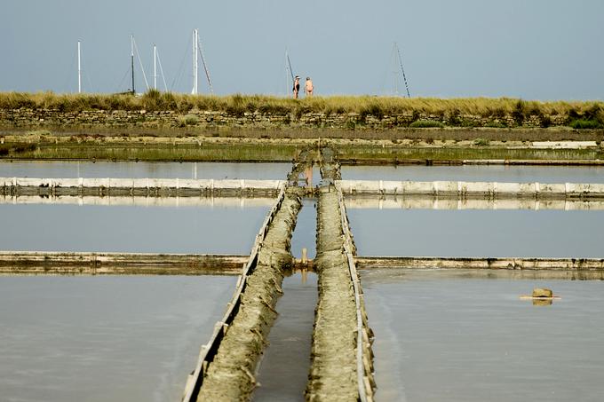 Predel ob izlivu reke Roja so že v srednjem veku spremenili v soline. Tukaj so klimatske razmere idealne za pridobivanje odličnega solnega cveta. | Foto: Ana Kovač