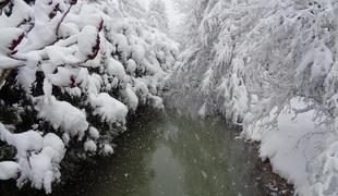 Slovenijo zajelo obilno sneženje, razmere se umirjajo #foto #video