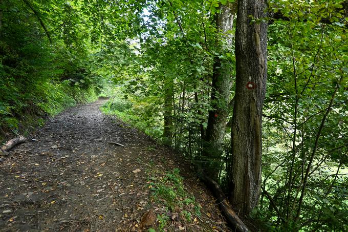 Čeprav je pot od Šikerja v Bresterniški dolini markirana, pa nas bodo po pol ure vzpona po vlaki pričakala opozorila o zasebni posesti in prepovedanem prehodu naprej. | Foto: Matej Podgoršek