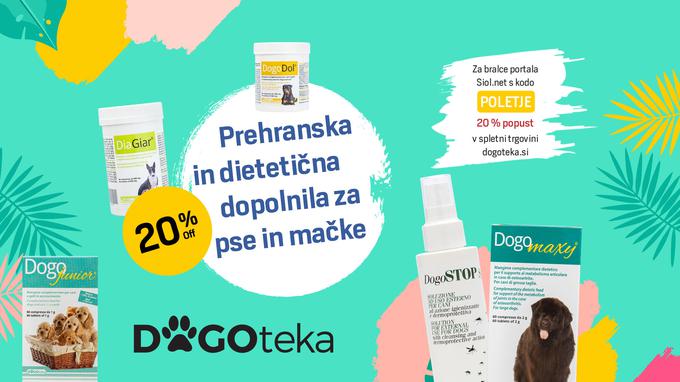 dogoteka | Foto: 