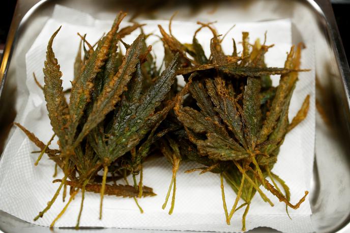 marihuana | Oba sta v priporu. | Foto Reuters