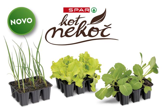 spar kot nekoč | Foto: 