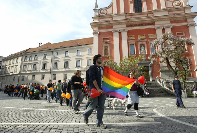 nevladne organizacije | Foto: STA ,