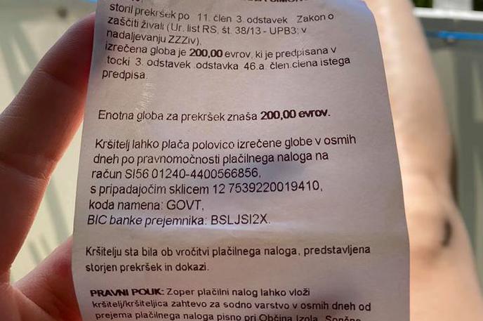 kazen morje Izola redarstvo pes | Z 200 evri so jo oglobili, ker pes ob njej ni plaval na povodcu. | Foto osebni arhiv