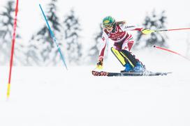 Zlata lisica, slalom