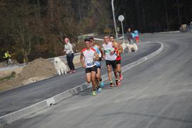 Ljubljanski maraton.