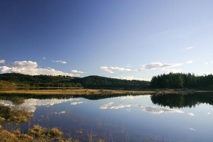 Petelinje jezero je presihajoče jezero v Pivški kotlini. Zaradi presihanja in dejstva, da ni neposredno povezano z drugimi vodami, v jezeru ni rib. (Vir fotografije: www.slovenia.info) | Foto: Tomaž Penko