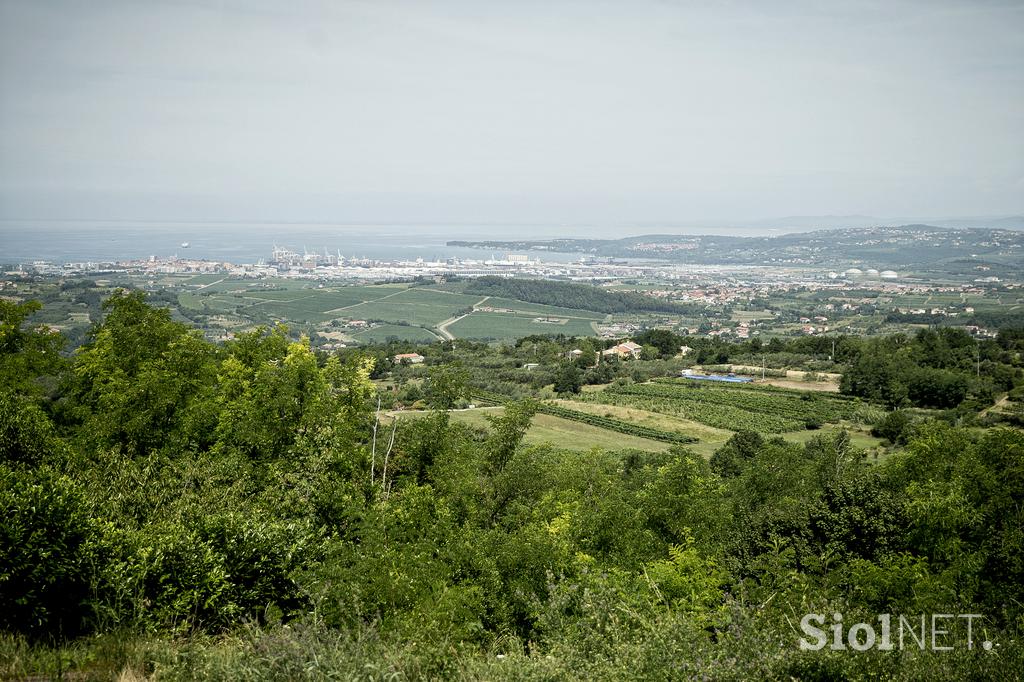 Turistična kmetija Štok Marezige