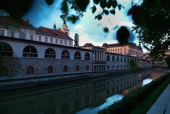 Ljubljanska tržnica | Foto: Matevž Paternoster / MGML