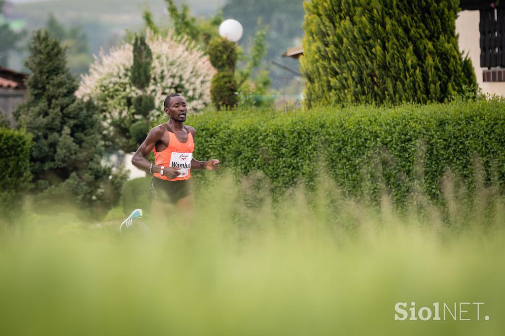 Maraton Treh src, Radenci