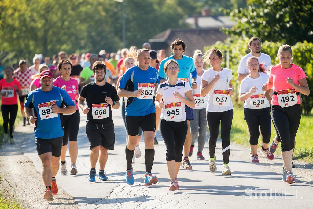 Konjiški maraton 2016