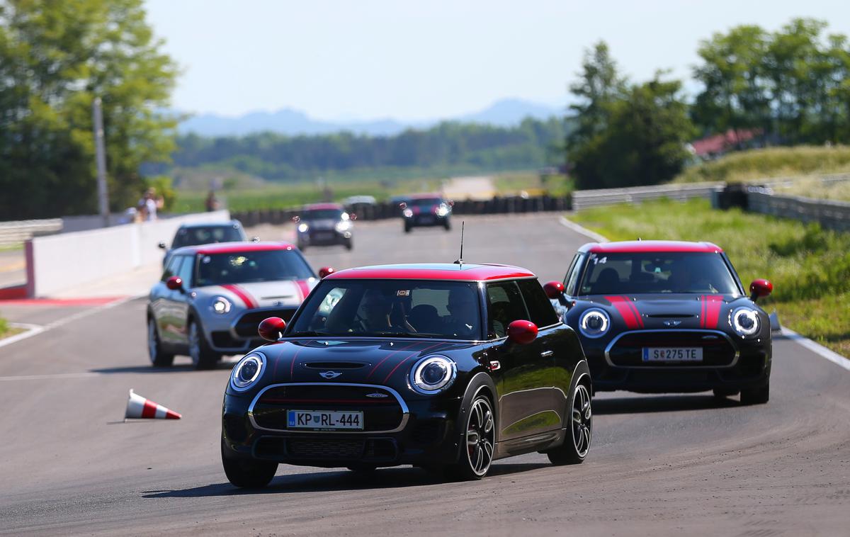 Mini Gaj | Foto Gregor Pavšič