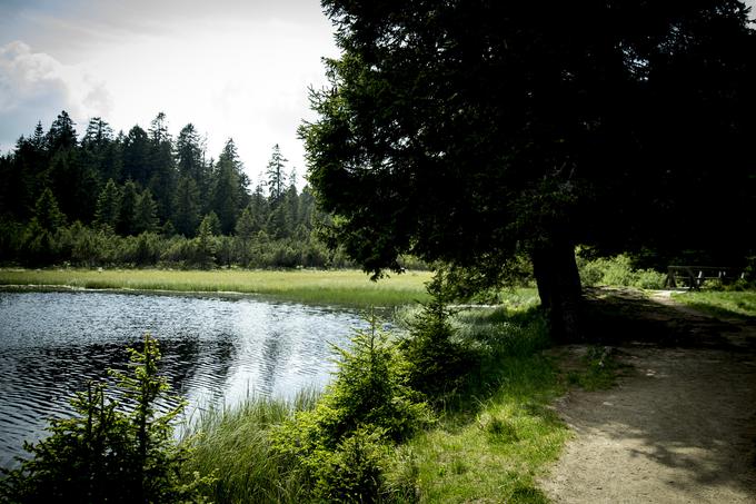 Pohorje | Foto: Ana Kovač