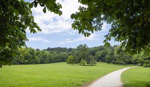 Mestna občina Ljubljana bo prenovila Bloudkov park v Tivoliju