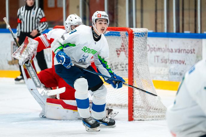 U20, slovenska hokejska reprezentanca U20 | Mladi risi so zdaj pri dveh porazih. | Foto Aleš Fevžer