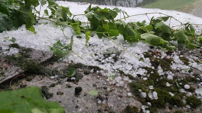 Izrazita vremenska sprememb konec tedna lahko prinese tudi točo. | Foto: Gregor Pavšič