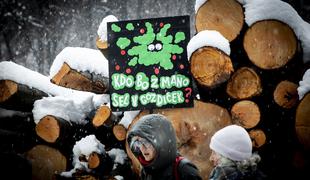 Predstavniki civilne družbe protestirali proti poseku gozda na ljubljanskem Rožniku #foto