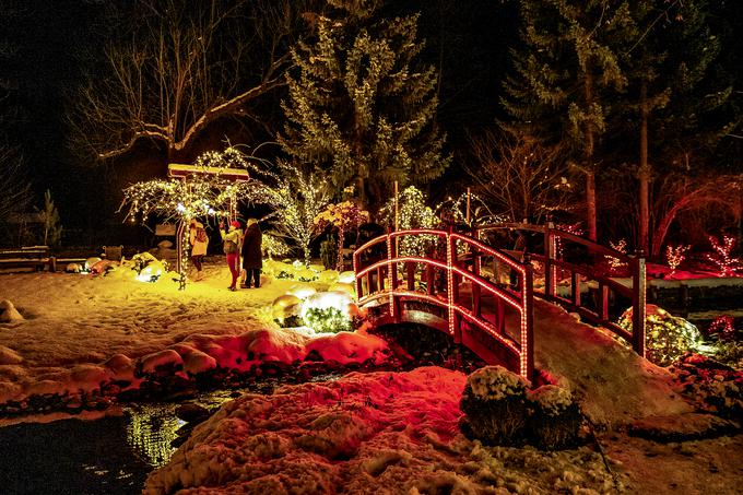 Japonski vrt žari v kombinaciji rdeče in zlate. | Foto: Ana Kovač