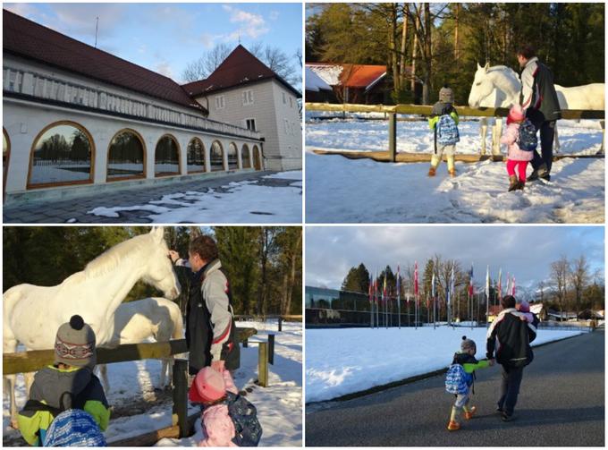 Odkrivaj Slovenijo | Foto: 