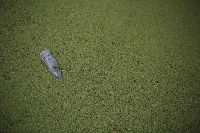 Onesnažene reke, Šanghaj, Kitajska.  | Foto: Reuters