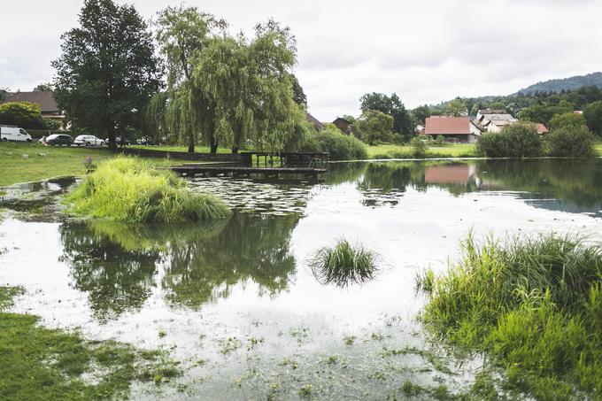 Podpeško jezero | Foto: Bojan Puhek