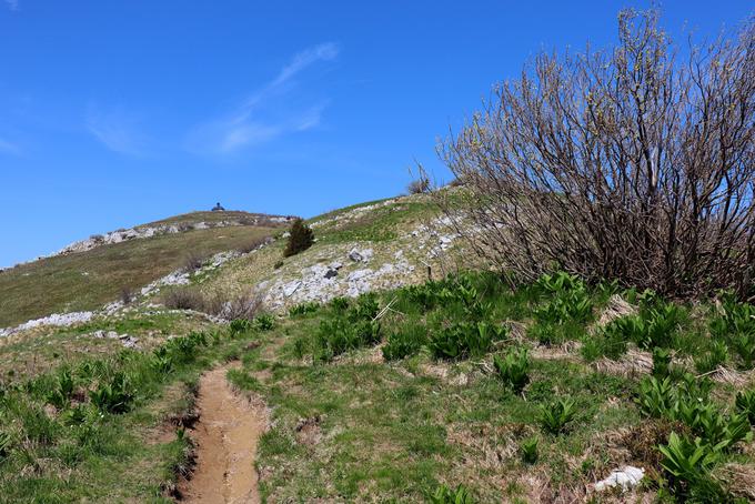 Zadnji del poti poteka po mejnem grebenu. Kapela na vrhu postaja vse večja in večja. | Foto: Matej Podgoršek