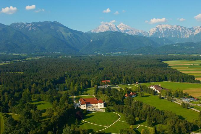 Na dobrih štiristo hektarjev velikem zemljišču se raztezajo gozdovi z nizom enajstih jezer. | Foto: Matej Leskovšek