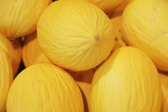 melona | Foto: Shutterstock